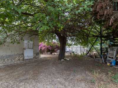 ...gustosi gelsi rossi che pendono da alberi secolari...